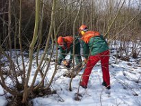 2010_Benjeshecken_05
