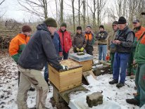 2014_Bienenwiese freischneiden_06