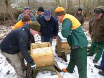 2014_Bienenwiese freischneiden_07