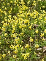 2023_Mittelwald3