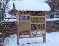 Insektenhotel bauen_2010_67