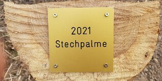 1BdJ_2021_Stechpalme