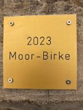 1Bdj_2023_Moor-Birke