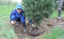 2014_Pflanzen Baum des Jahres_06 2014_Pflanzen Baum des Jahres_06.jpg