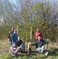 2015_Pflanzen Baum des Jahres_02