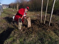 2020_Baum_des_Jahres_(2)