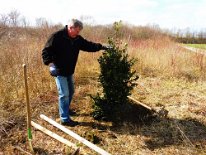 2021_Baum_des_Jahres_(1)
