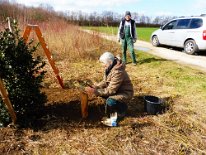 2021_Baum_des_Jahres_(2)
