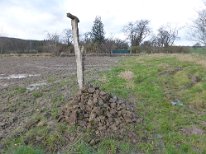 2018_Lesesteinhaufen01
