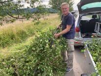 240705 (4) pflegen