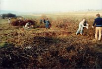 1989_Benjeshecken_02
