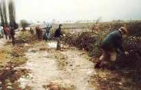 1990_Benjeshecken am Bastenberg_01