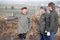 1990_Benjeshecken am Tunnelmund_06