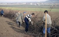 1990_Benjeshecken am Tunnelmund_10