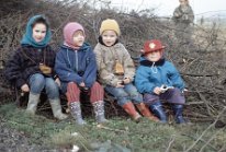 1990_Benjeshecken am Tunnelmund_11