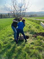 220426_der_erste_Hochzeitsbaum (2)