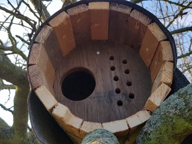 Nistkastenbau