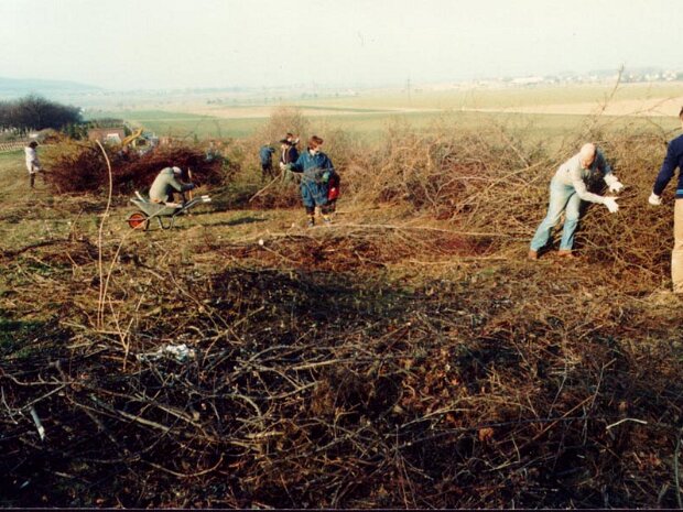 Von den Anfängen 1989-1995