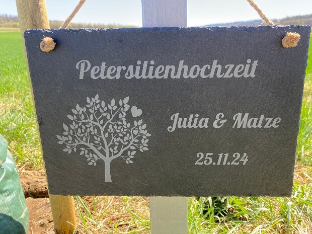 Zwetschenbaeume als Hochzeitsbaeume